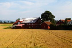 Tegneby & Grønnerød Landbruksmegling AS